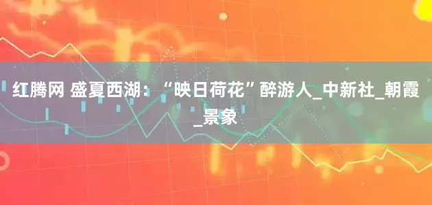 红腾网 盛夏西湖：“映日荷花”醉游人_中新社_朝霞_景象