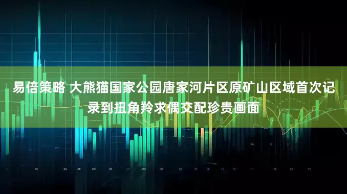 易倍策略 大熊猫国家公园唐家河片区原矿山区域首次记录到扭角羚求偶交配珍贵画面