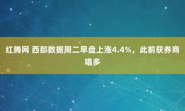 红腾网 西部数据周二早盘上涨4.4%，此前获券商唱多